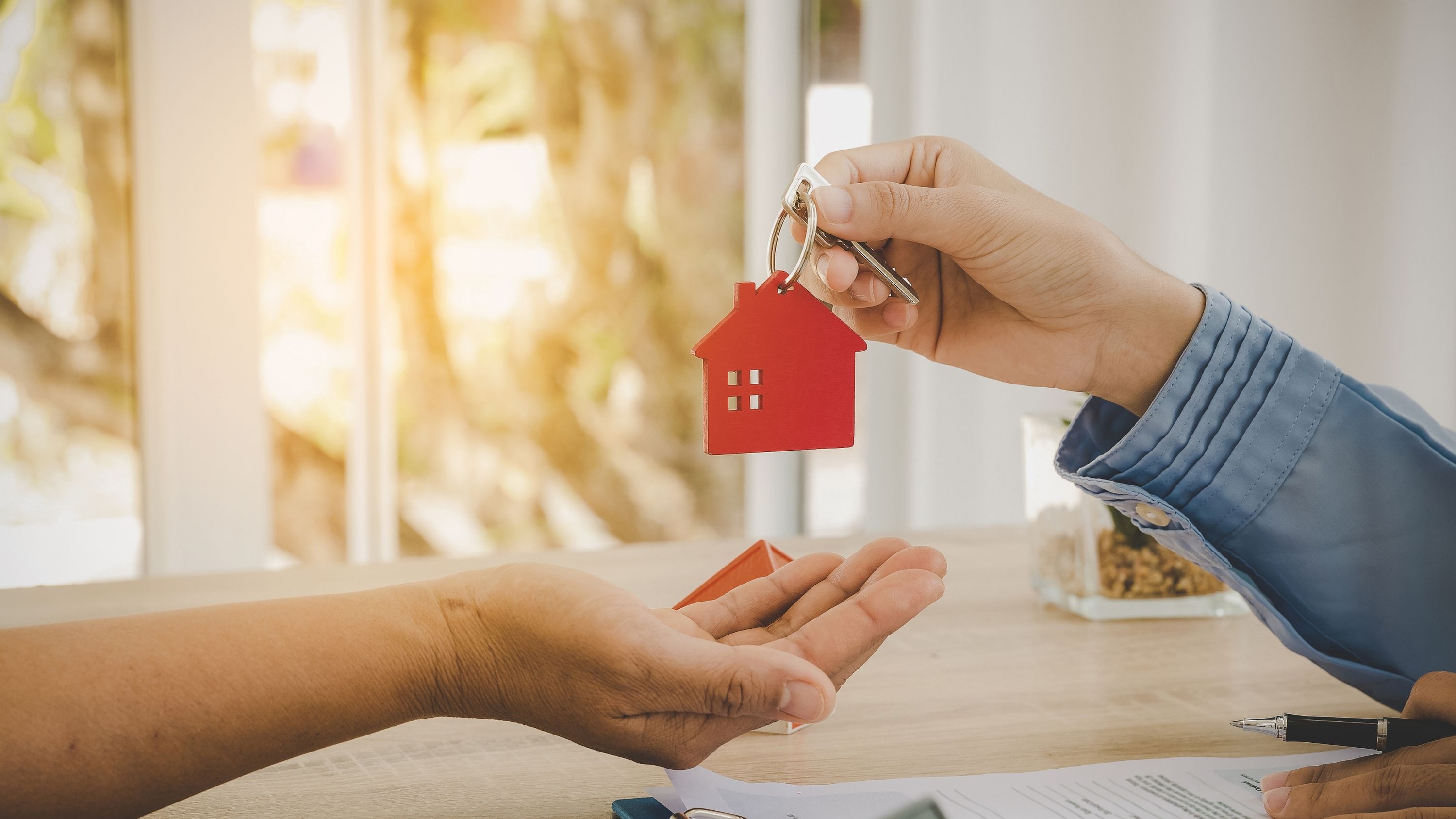 Modern white house with pool